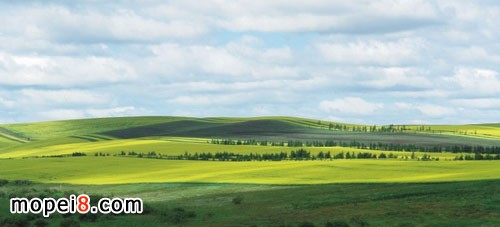 �y�miniĦ��܇��(n��i)�ɹ�ԇ�T���