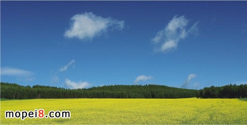 �y�miniĦ��܇��(n��i)�ɹ�ԇ�T���