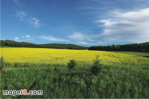 銀鋼mini摩托車內蒙古試騎報告