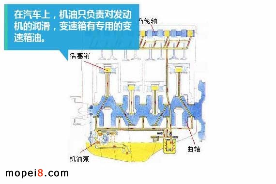 Ħ��܇�����͵��x���c���Q