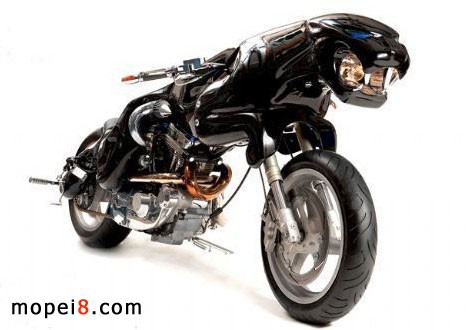 Leaper AKA Night Shadow�ڱ�Ħ��܇