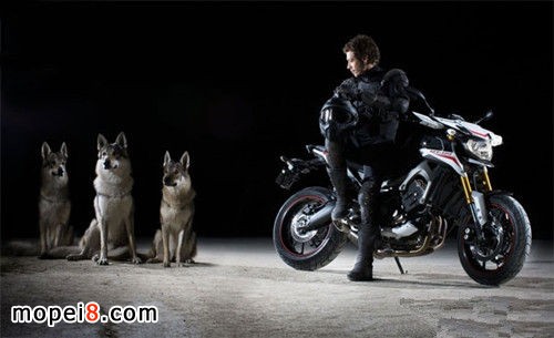 �����_������YAMAHA MT-09