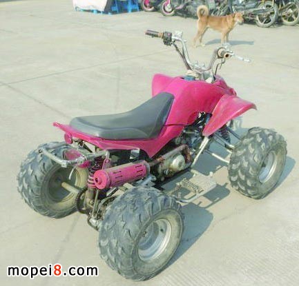 �Ĳ���M�bĦ��܇