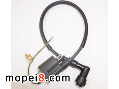 ��ľ���Ħ��܇�߉���