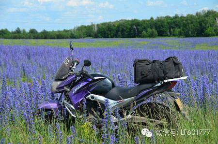 Ħ�ö��_˹��һ��Ҫ���Ĺ���