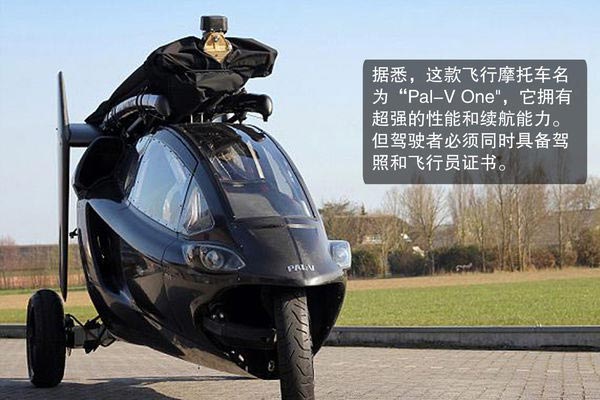 ȫ���׿��w��Ħ��܇Pal-V One