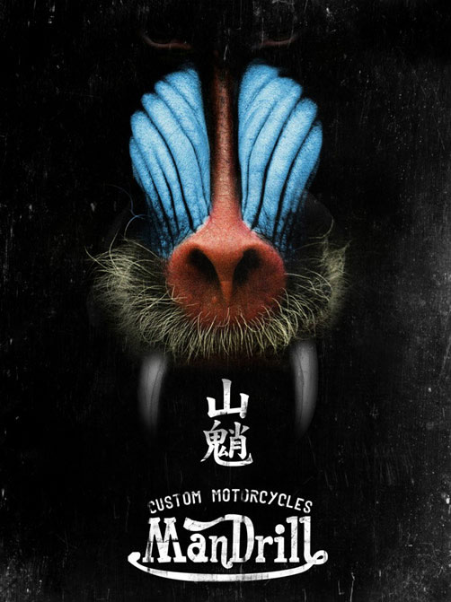 MANDRILLɽ��Ħ��܇���b�S��