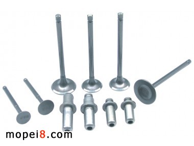 ������Ħ��܇���T