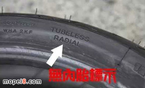 ݆̥����Ҫ����