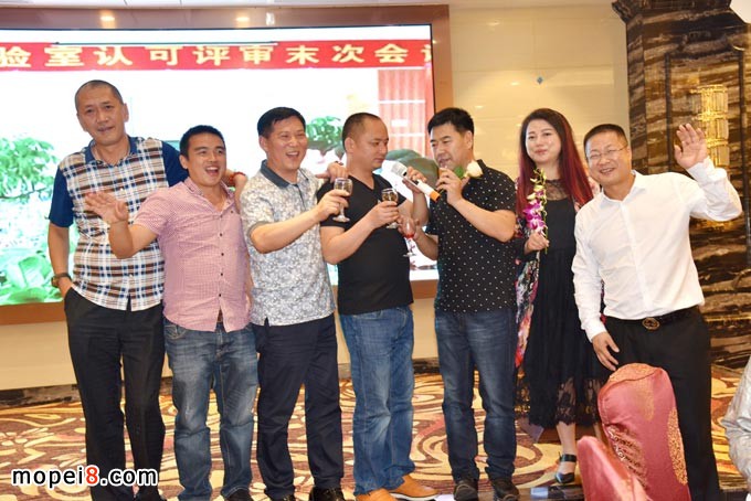 �V������̩�Q�����޹�˾