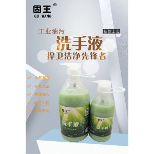 �������Iϴ��Һ1000ml