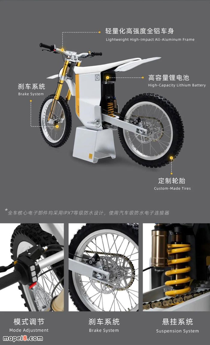 �C����ORI�pӯ�`���ֲ�ʧ���g�腖